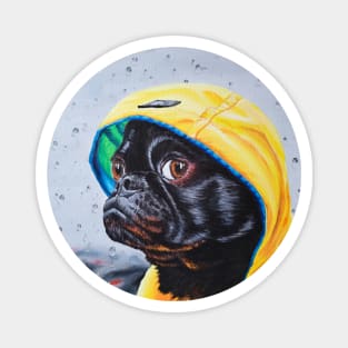 Raincoat Pug Magnet